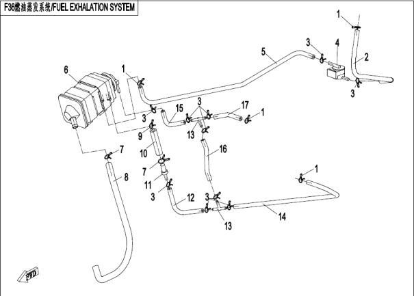 FUEL EXHALATION SYSTEM - F36